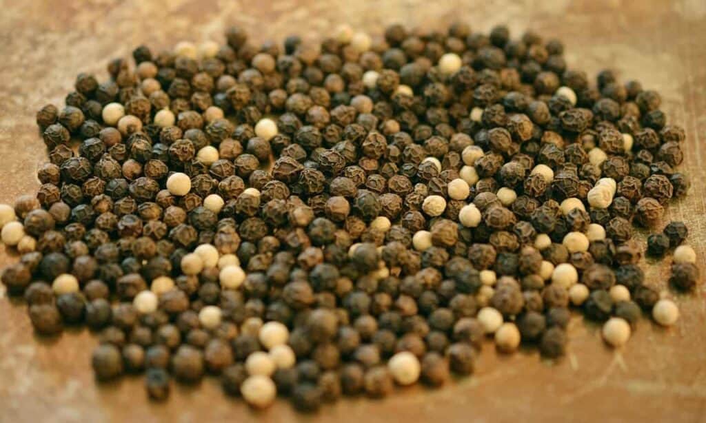 Black Pepper