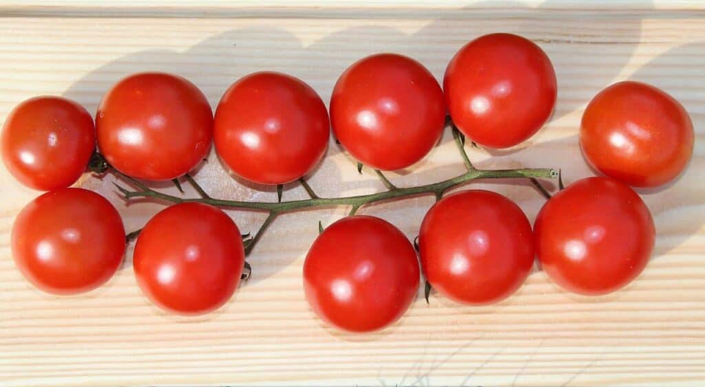 Husky Cherry Red Tomato