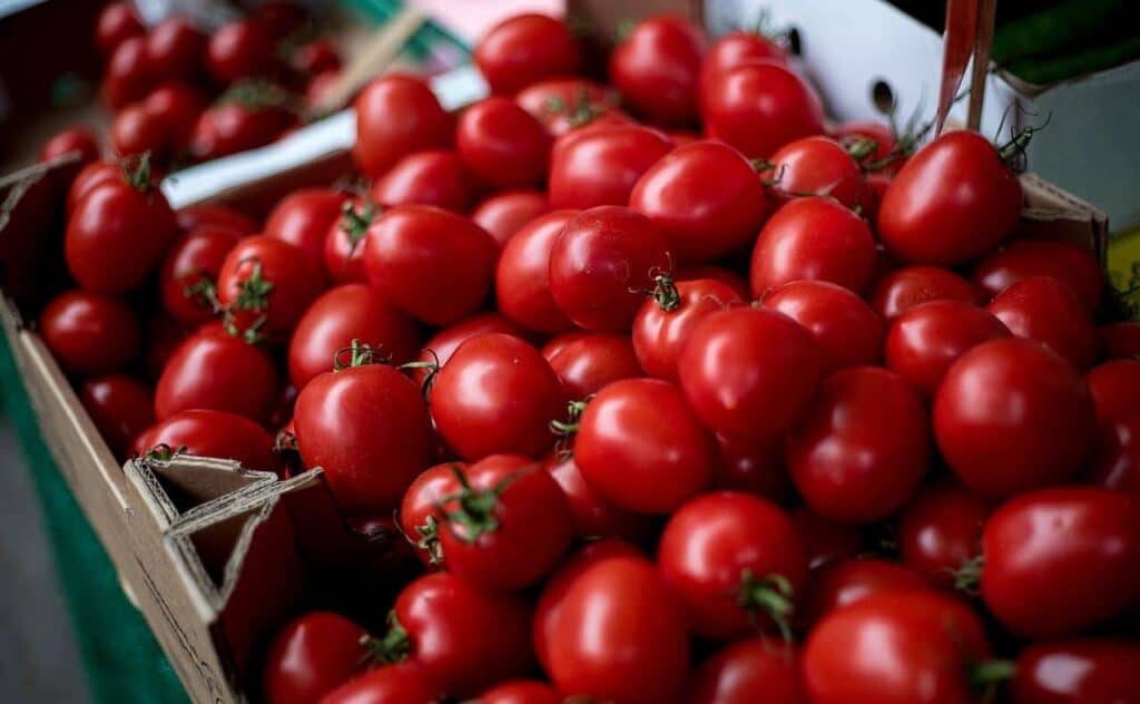 Cherry Red Tomatoes: A Comprehensive Guide